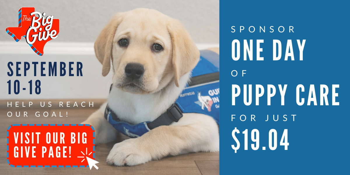 Big give desktop banner featuring WInston and a prompt to donate today