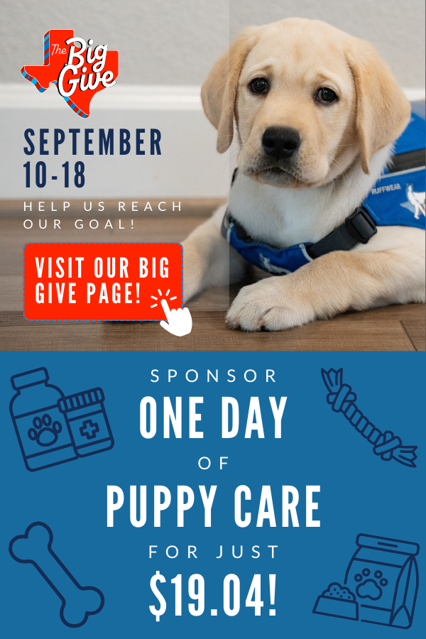 Big give mobile banner featuring WInston and a prompt to donate today