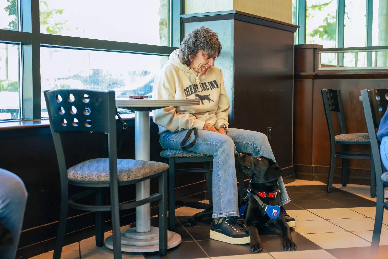 Black Labrador puppy in training settling beside a seated volunteer inside a cafe