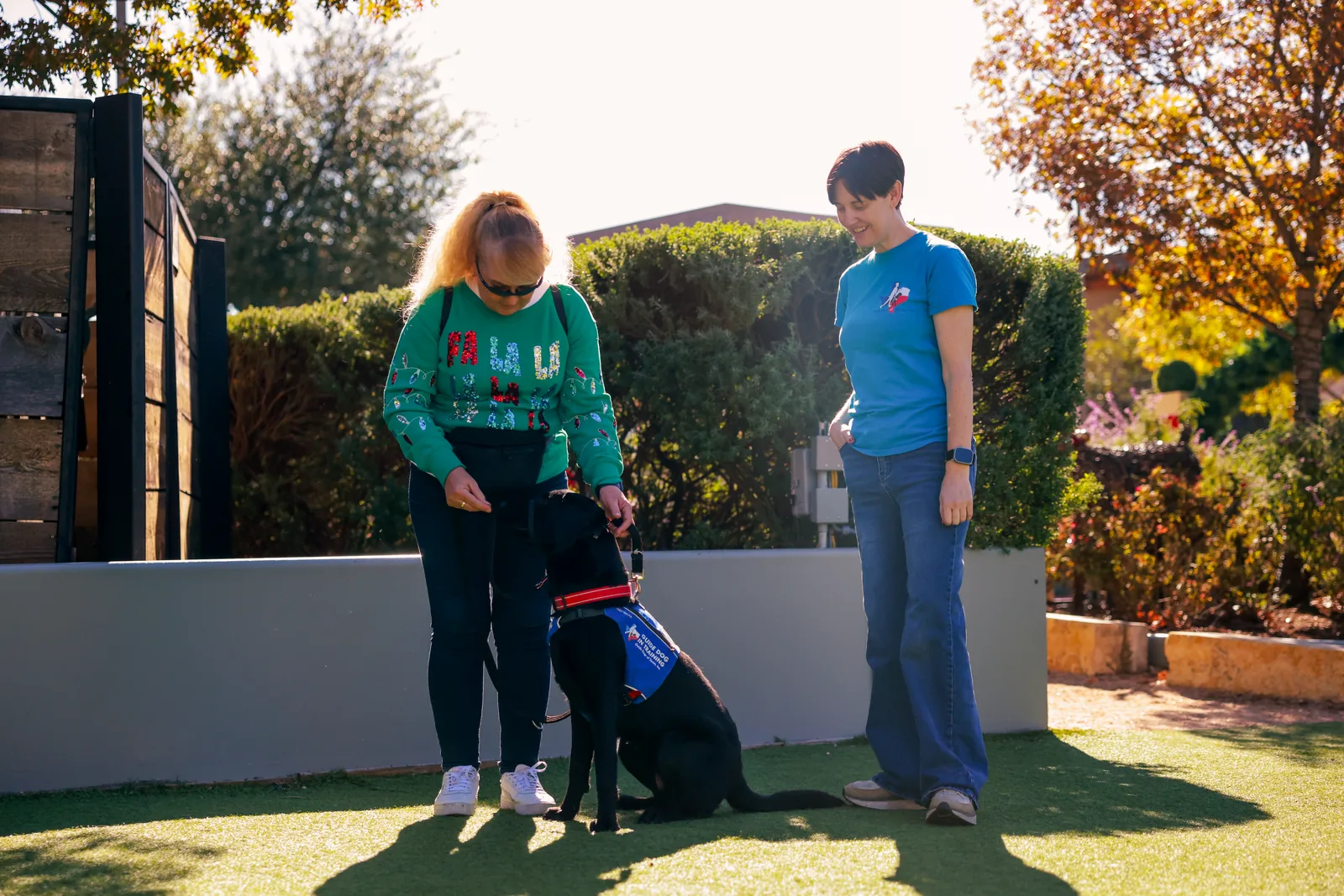 Volunteer rewarding a seated black Labrador puppy during an outdoor training session
